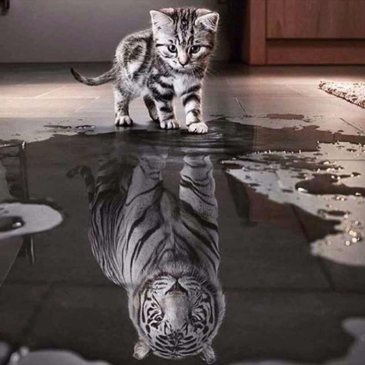 Le Reflet d'un Chat à Travers un Tigre