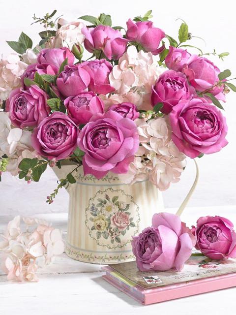Magnifique Bouquet de Roses