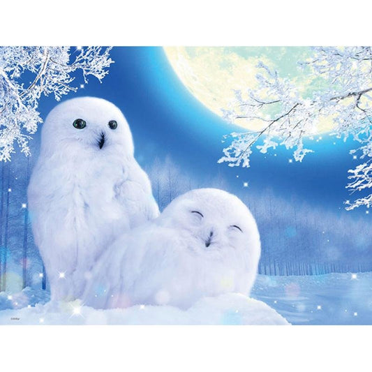 Chouettes Harfang des Neiges