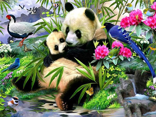 Maman Panda Et Son Bébé