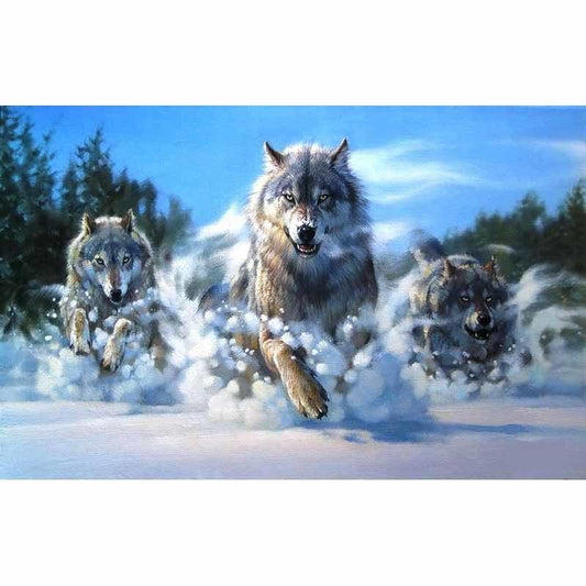 Meute de Loups Courant dans la Neige