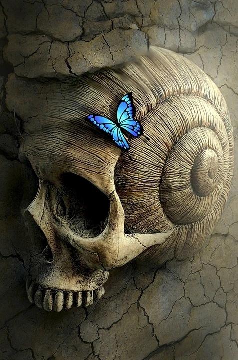 Papillon Bleu sur Crâne Skull