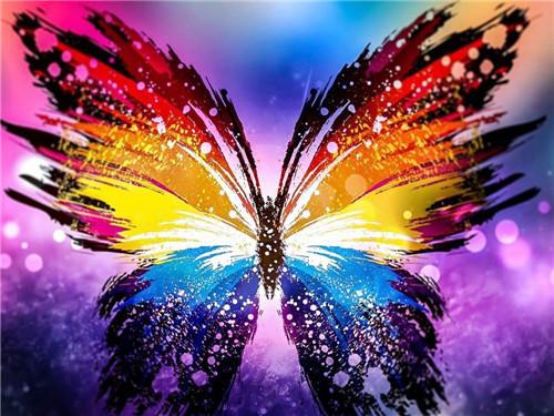 Papillon Coloré Arc-En-Ciel
