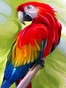 Perroquet Ara Multicolore