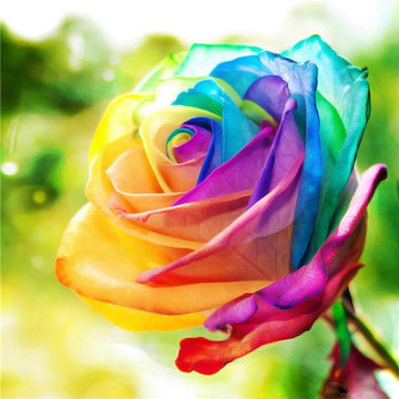 Superbe Rose Multicolore - Kit Broderie Diamant - Artiste du Diamant - Diamond Painting