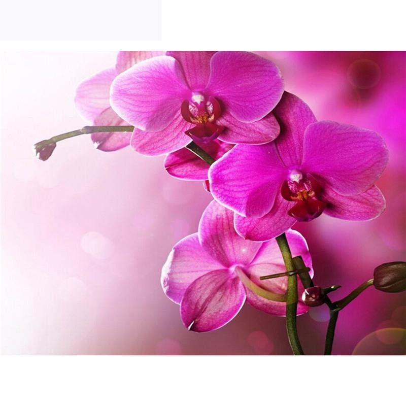 Superbes Orchidées Roses - Kit Broderie Diamant - Artiste du Diamant - Diamond Painting