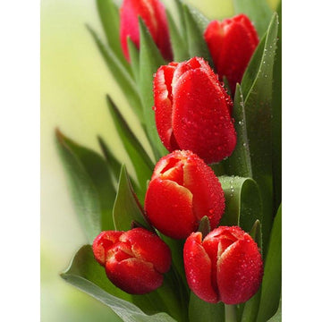 Superbes Tulipes Rouge - Kit Broderie Diamant - Artiste du Diamant - Diamond Painting