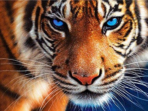Tigre avec un Regard Perçant