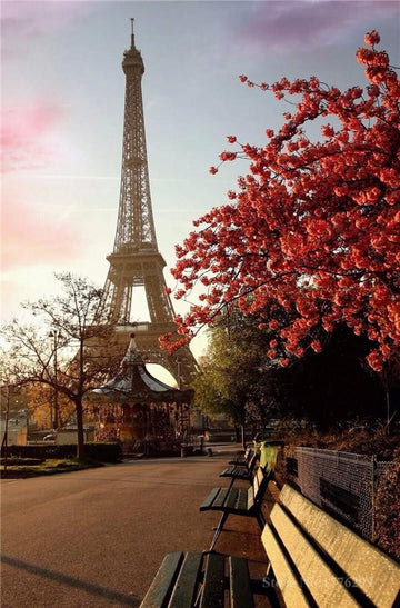 Vue sur la Tour Eiffel en Automne - Kit Broderie Diamant - Artiste du Diamant - Diamond Painting